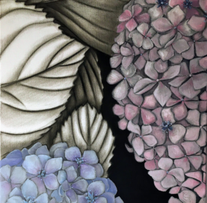 Hidrangea 2