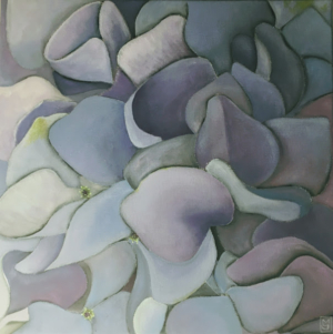 Hidrangea 3
