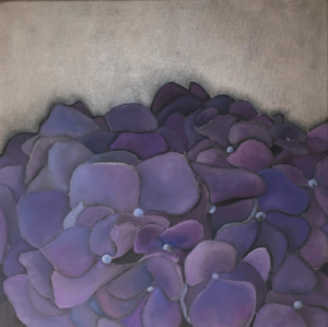 Hidrangea 4