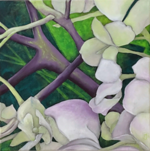 Hidrangea 5
